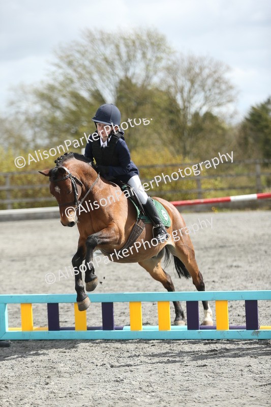 20260412-0758 - Show Jumping