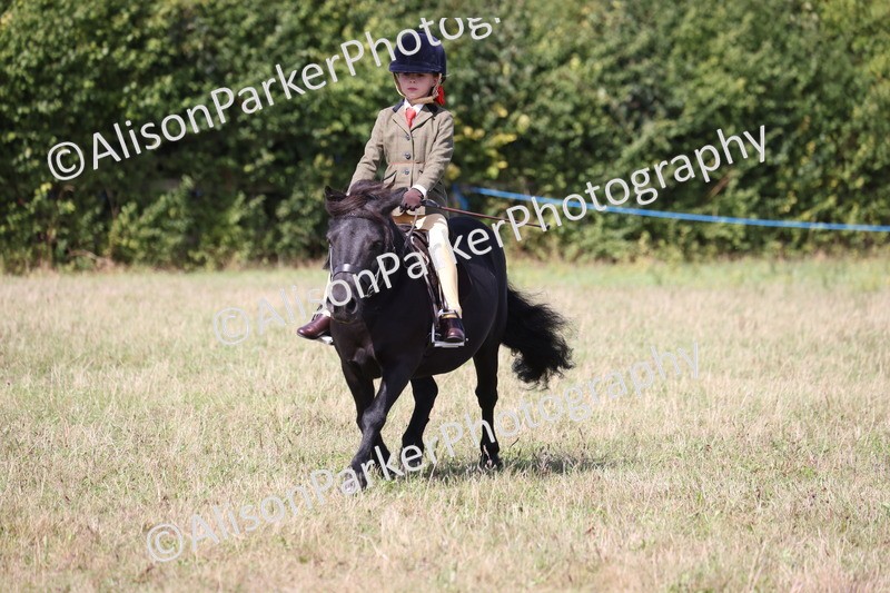 20260906-3075 - Class 18 - Childs First Pony