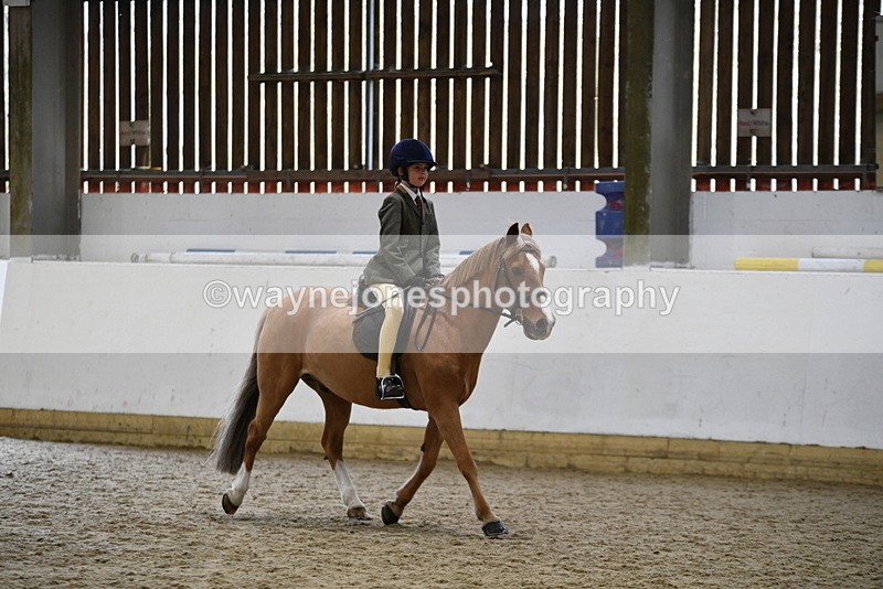 WJ5_6812 - Class 10 Childs Pony