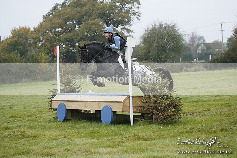 WWHT 181020 WWHT 181020 195 - WWEC Novice Restricted (0.80m) 18/10/20