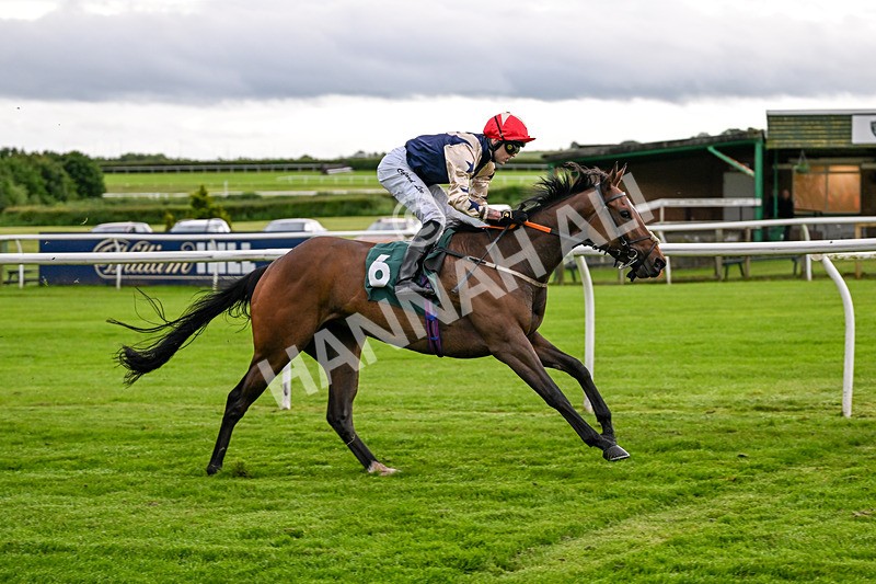 110626-Race 3-Powernap-4606 - Race 3 19.22pm racingtv.com/freetrial Handicap