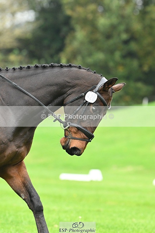 241024-144626-04601 - 420-Pip.Howarth-OTTAVA