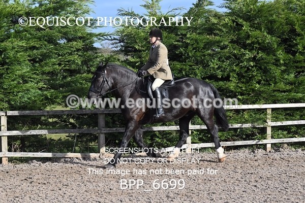BPP_6699 - RING 1  (RIDDEN HORSES / IN HAND / VETERAN ETC)