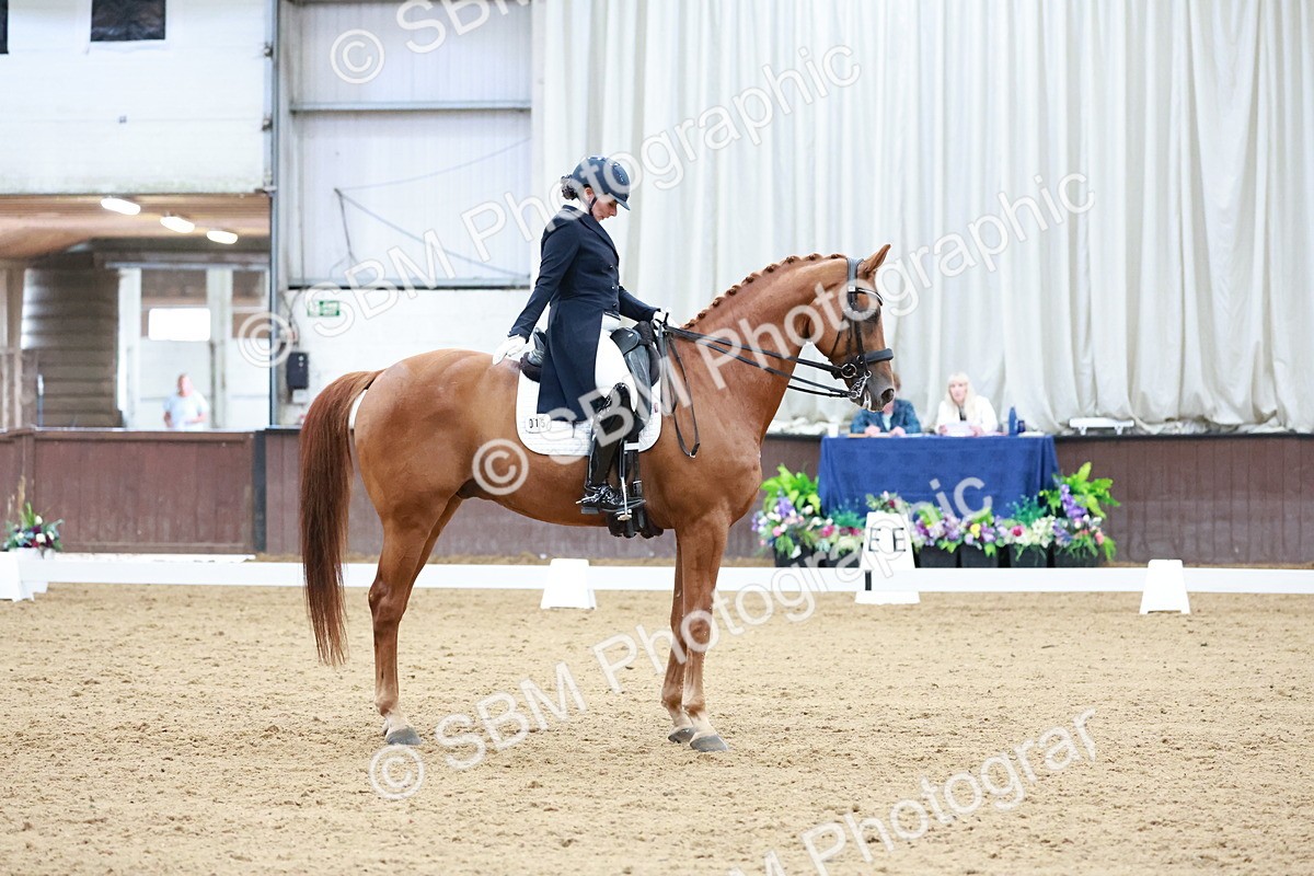 SBM_019904 - Class 12 - FEI PSG - 14.12-15.00