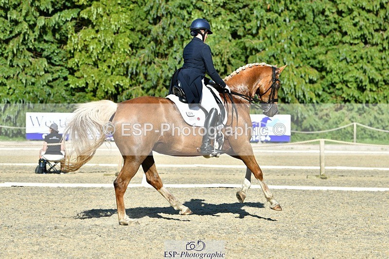 230623-181636-03207 - Cls 11 FEI PSG