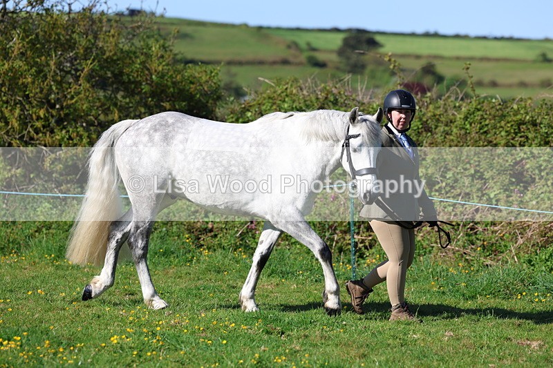 3E7A8501 - Class 13: M & M Large Breeds