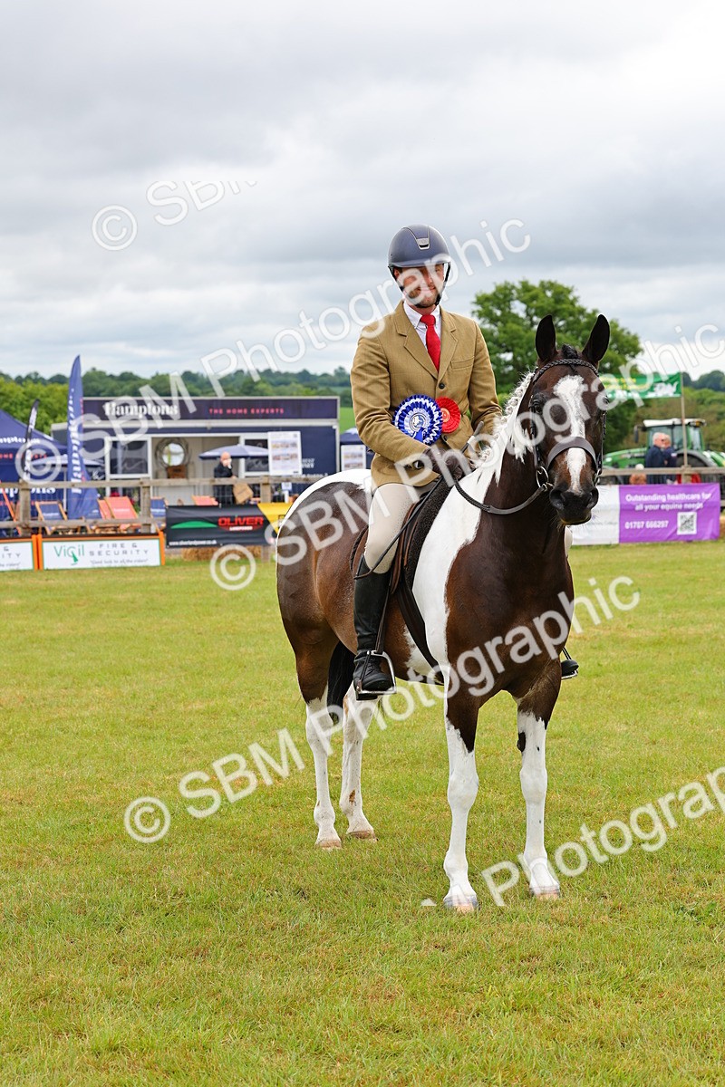 SBM_02666 - Class 9-11 Side Saddle including LIHS Rising Star Ladies Show Horse
