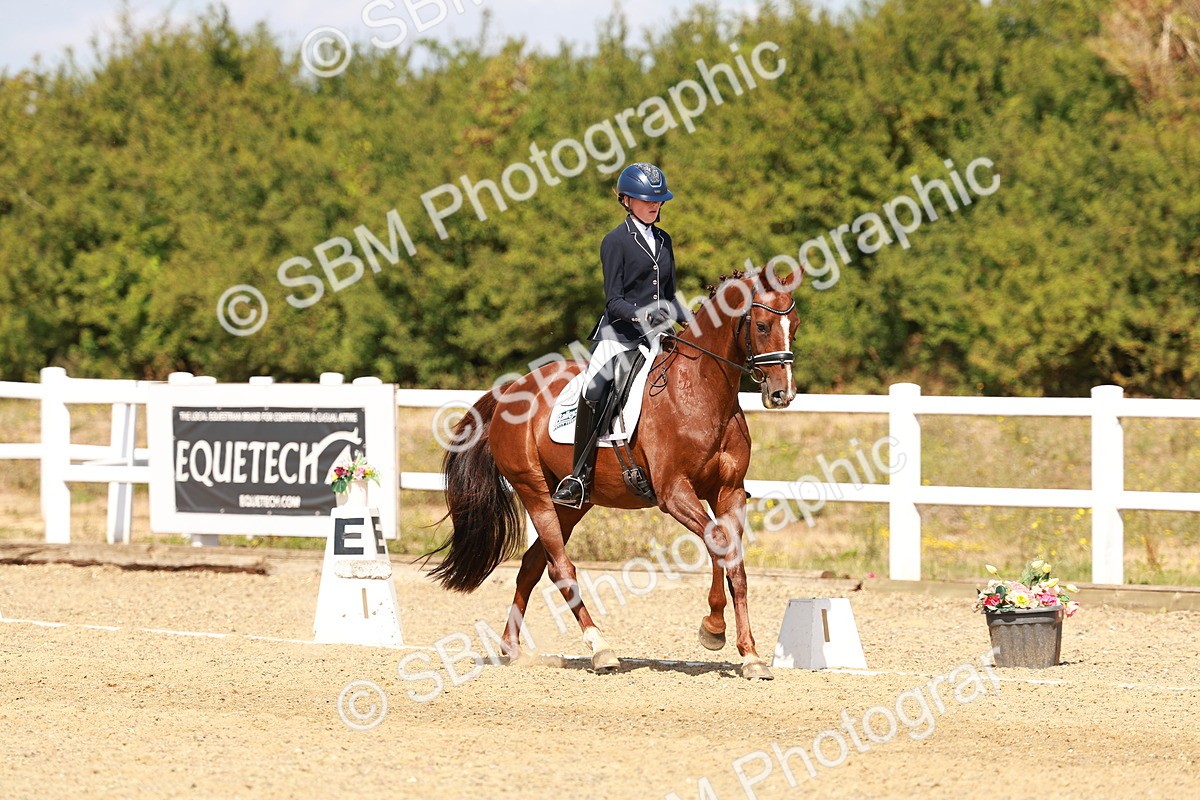 SBM_018324 - Class 9 - N5 Bronze 11.57.13.07