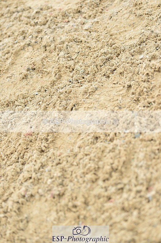 230706-091920-00081 - Cls 4 4 year old