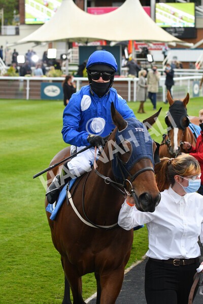 yr14052021r5-10 - Race 5 3.40pm The Jigsaw Sports Branding Handicap