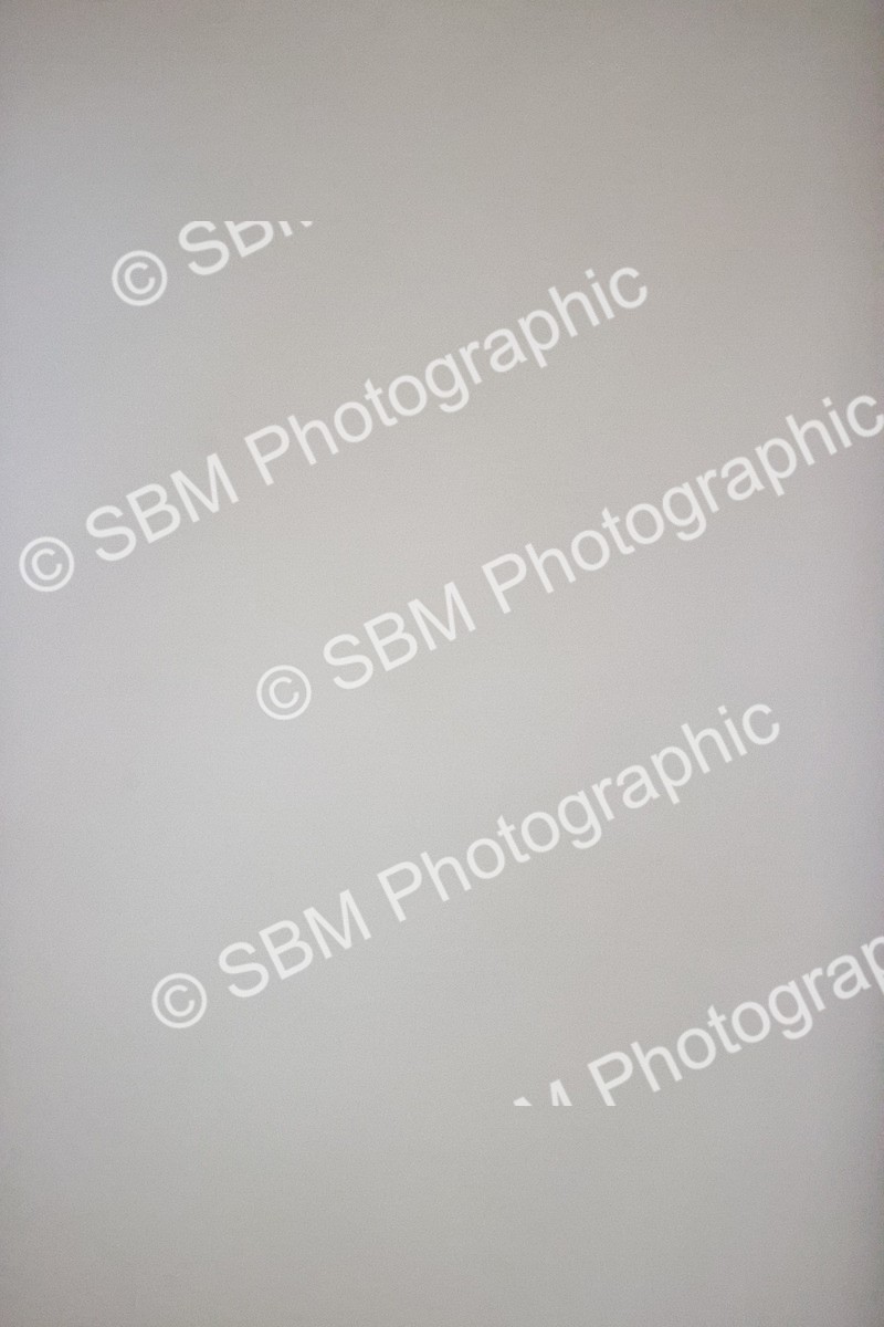 SBM_000824 - Class 2-5-4-6 - Paso Doble-Golega-Novato-Sevilla - FSM