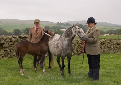 55 - Moniaive Horse Show 2008
