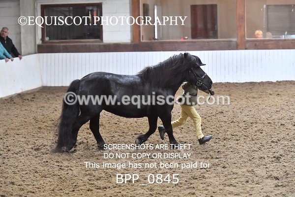 BPP_0845 - RING 1