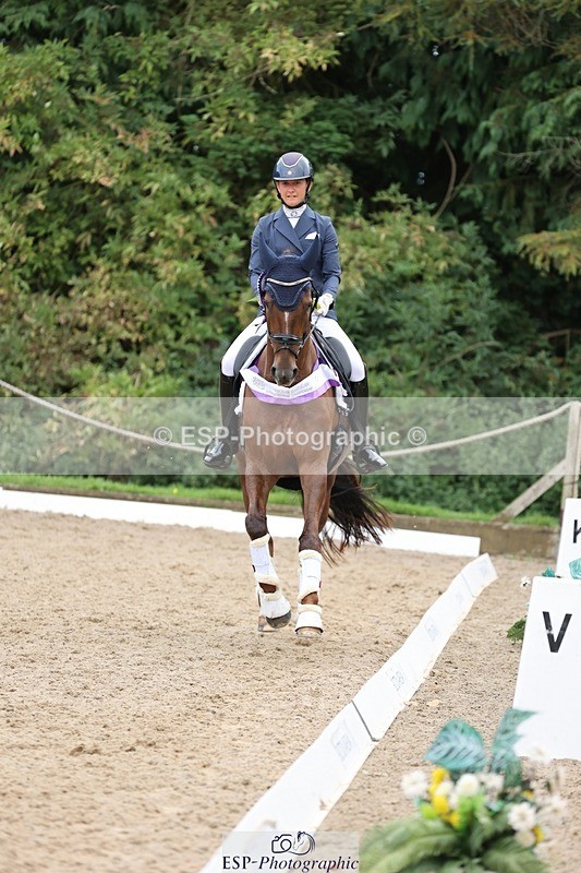 240810-170457-04531 - Elementary Silver