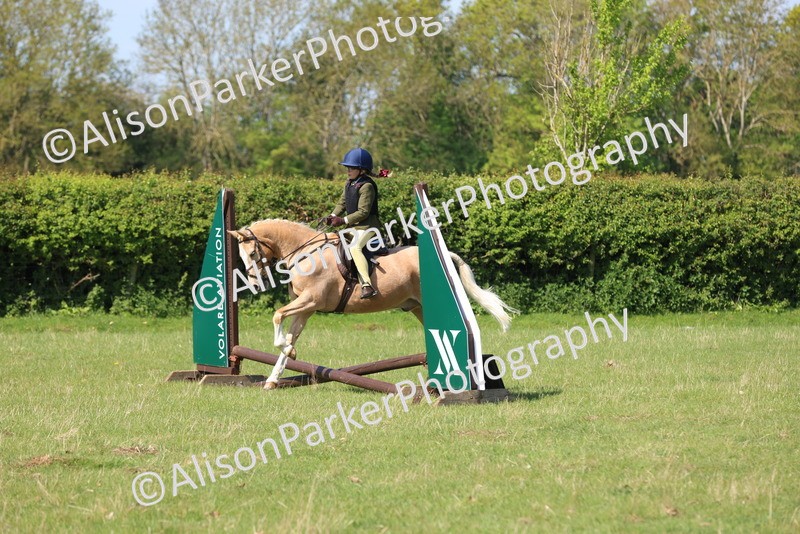 20250427-2405 - Class 19 - Mini Working Hunter