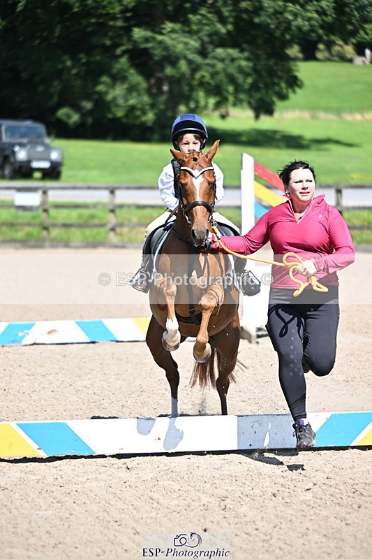 240729B-110652-02229 - Showjumping Competition