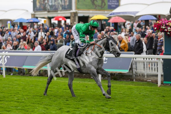210824-Race 6-Star Of Lady M-7460 - Race 6 4.45pm Visit Irish Yearling Sale With ITM Fillies' Handicap