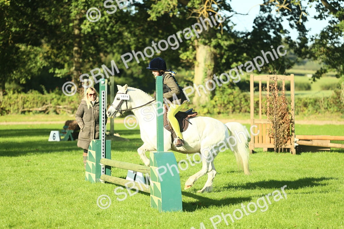 SBM_36303 - S29 - Novice & Newcomers Working Hunter Pony