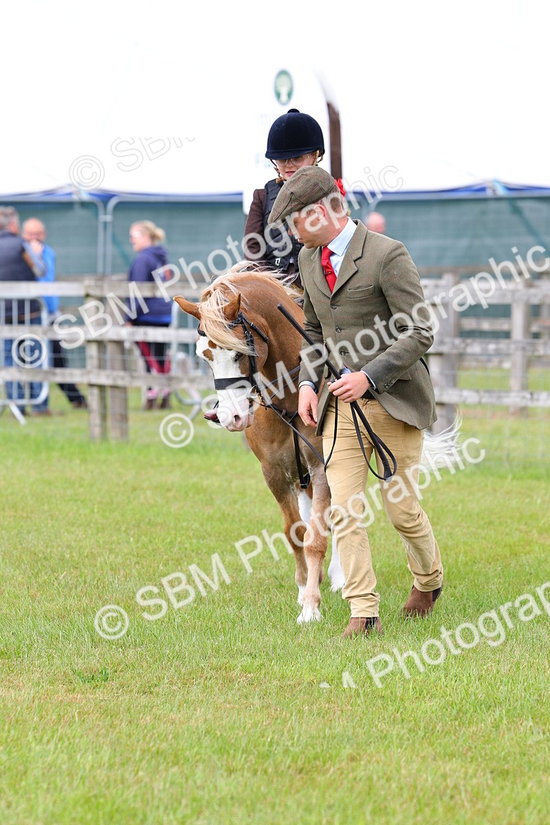 SBM_08175 - Class 42-43 - LIHS BSPS Heritage Working Sports Pony
