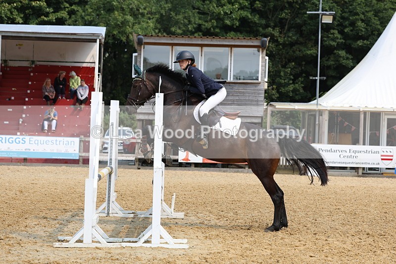 3E7A1449 - Class 4: Senior British Novice/90cm open