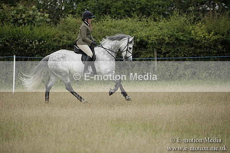B230619-0125 - Bourne Valley Riding Club Summer Show 23/06/19
