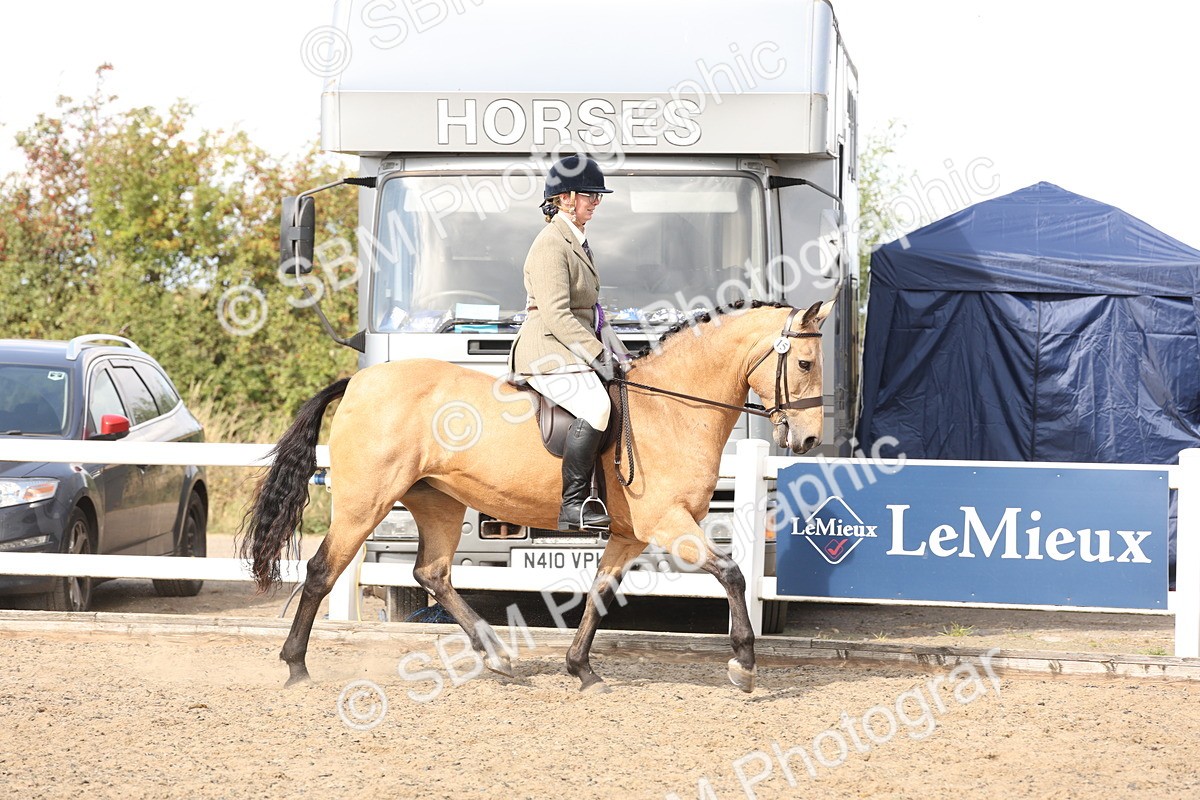 SBM_06826 - Class 58a -  Style & Performance - 70cm (15-19)