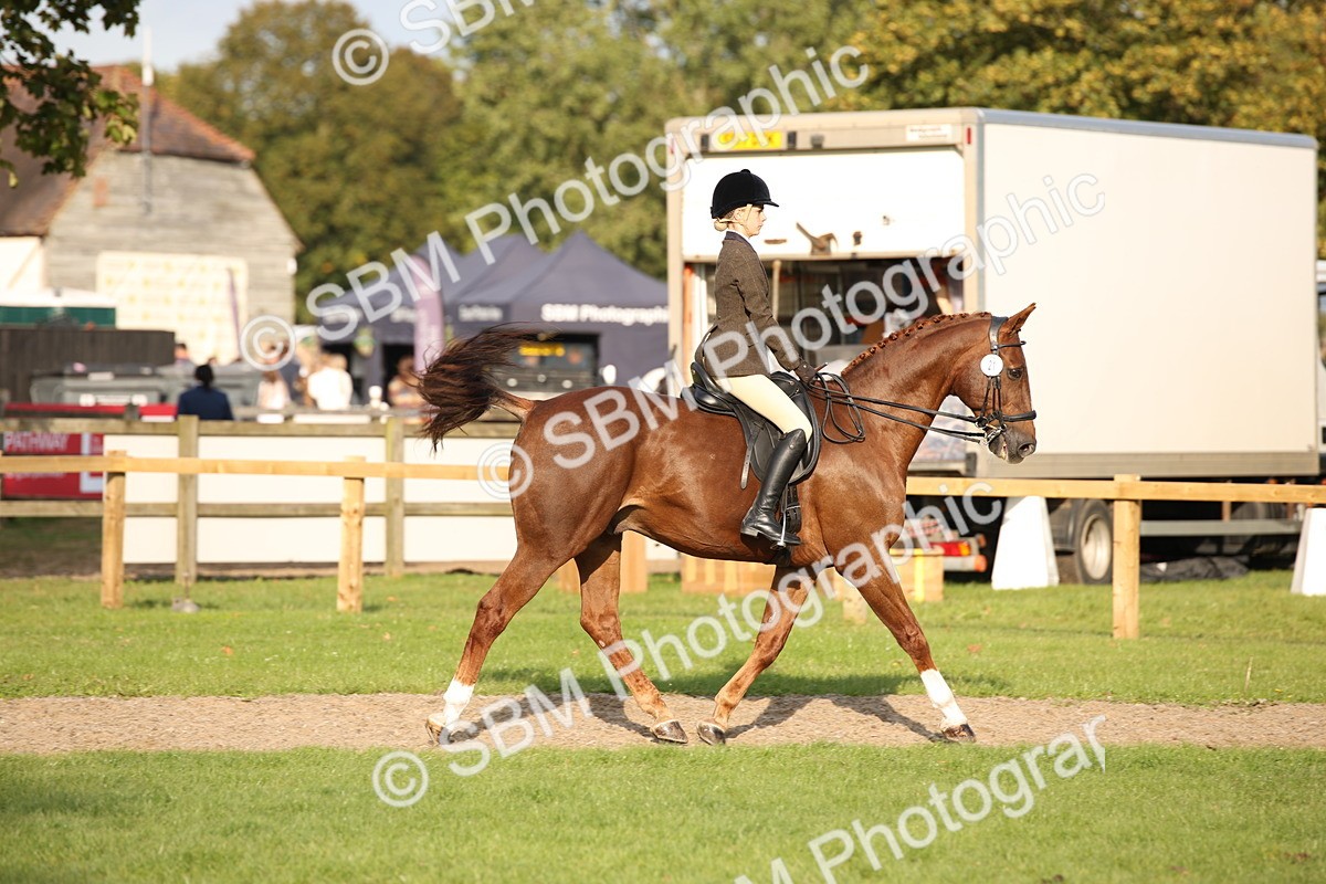 SBM_54296 - S27 - Mature Veteran - Ridden