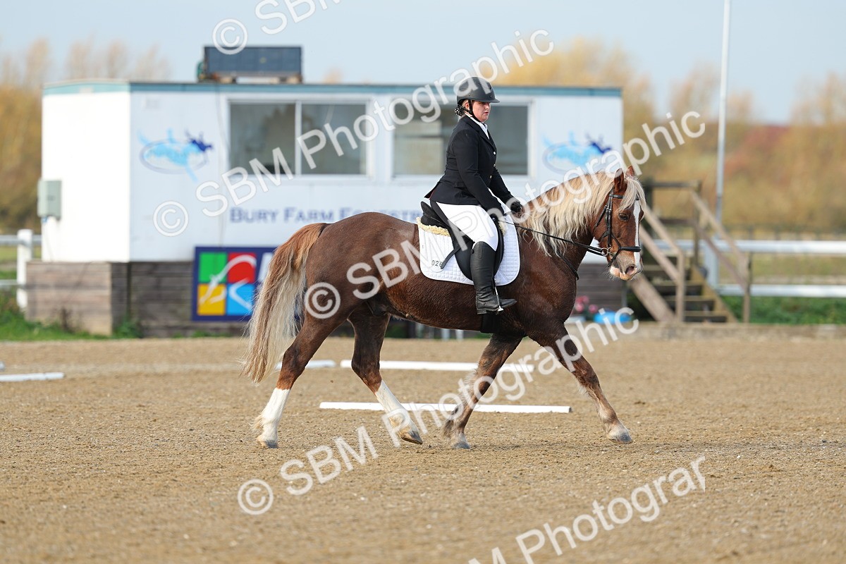 SBM_003079 - Class 2 - Intro 3