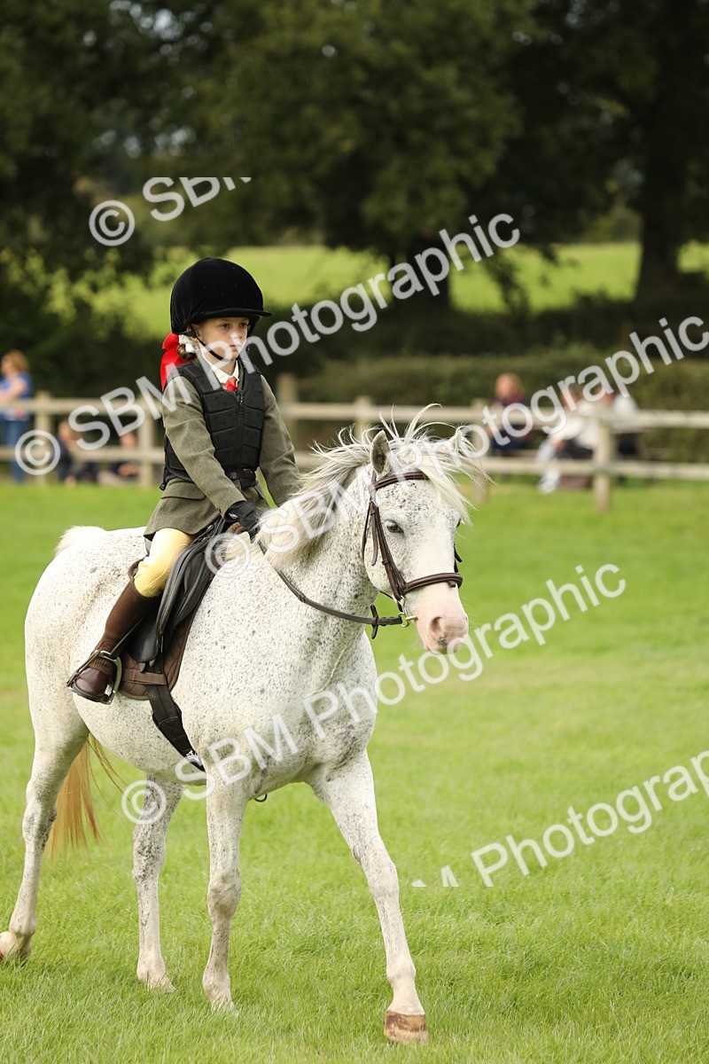 SBM_71612 - S41 - Ridden Equitation (Best Rider)
