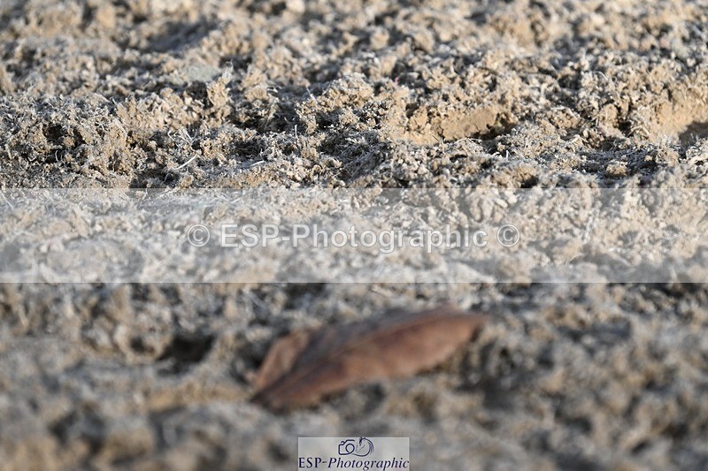 231110-141114-01875 - Cls 7 Medium 61