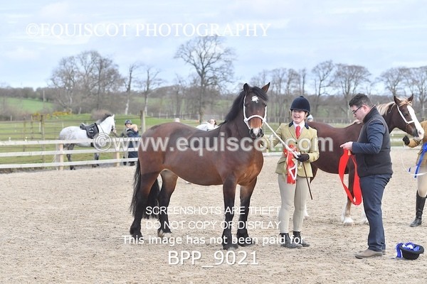 BPP_9021 - RING 2 - M&M