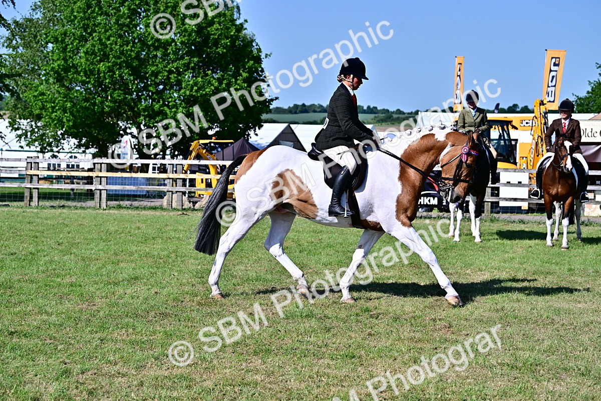 SBM_19532 - Class 101-102 - BSPS LIHS Performance Coloured Horse/Pony