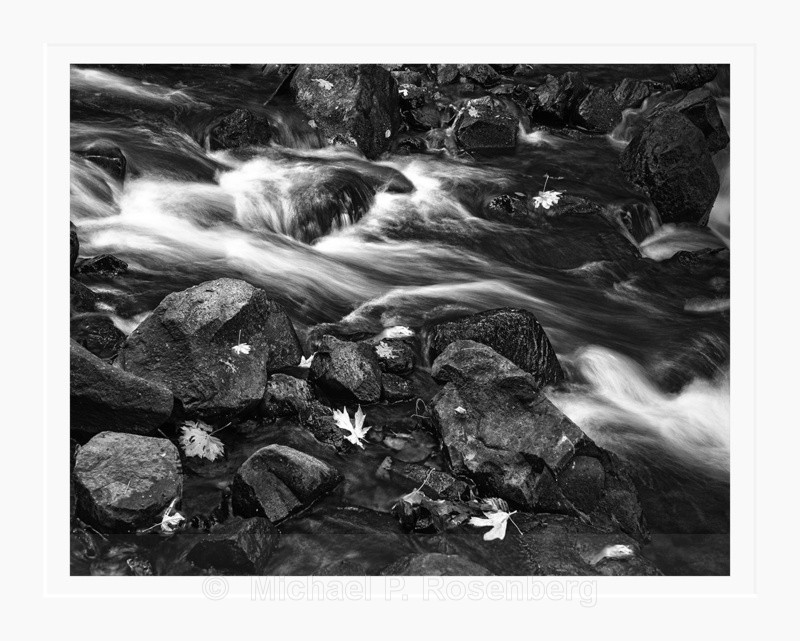 Leaves and Rapids, Columbia River Gorge, OR (2014/D01129) - CALIFORNIA, OREGON, AND WASHINGTON STATES
