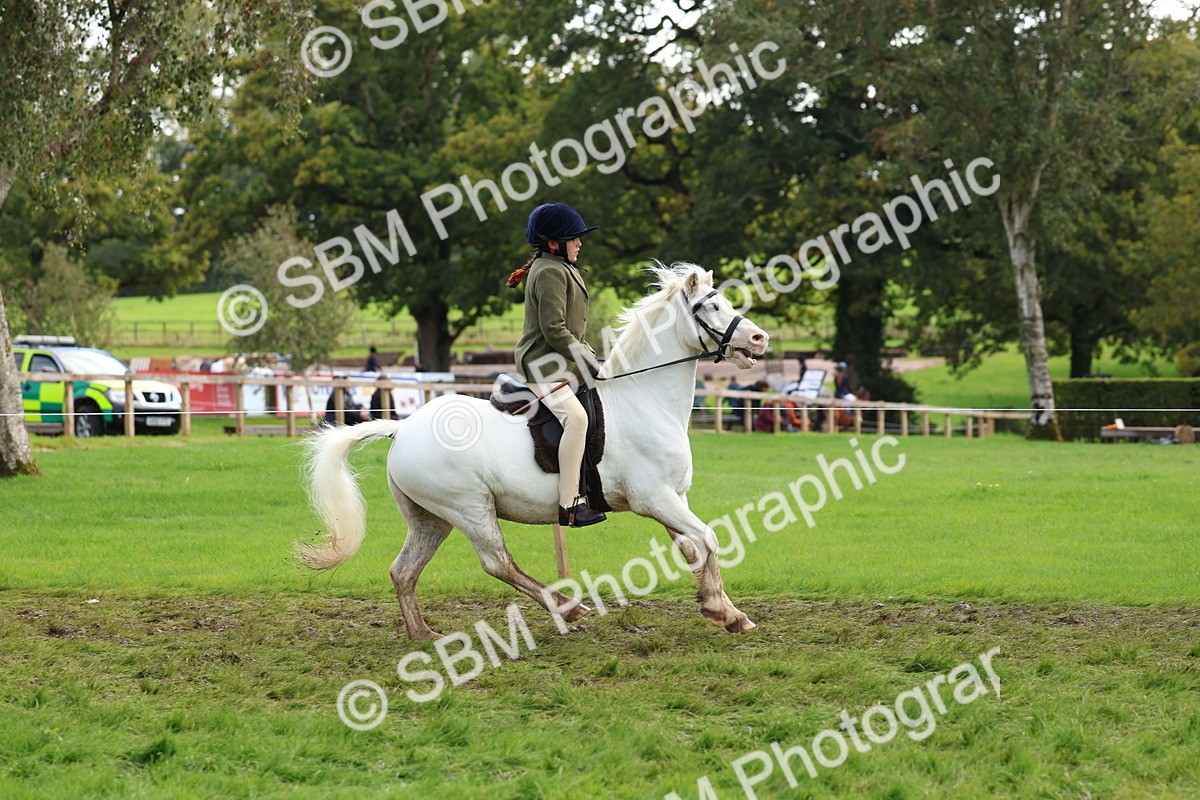 SBM_45211 - S27 - Young Veteran Ridden