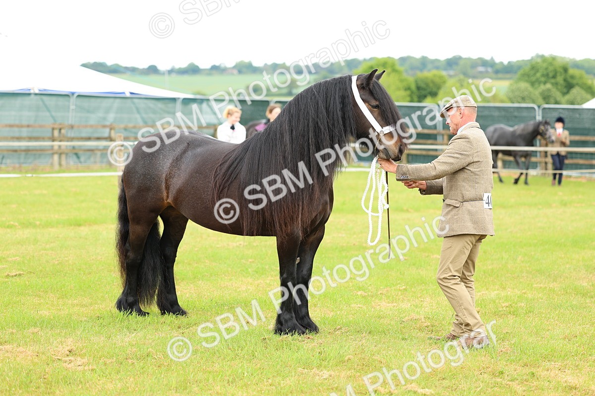SBM_00548 - Class 58-67 - M&M Non Welsh Pony In hand