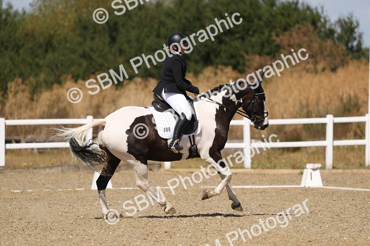 SBM_013662 - Class 1 - P5 Bronze 10.38.12.02