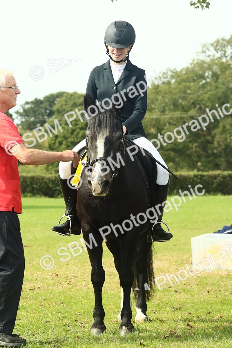 SBM_66773 - S34 - Rehabilitated Rescue Horse & Pony In Hand & Ridden