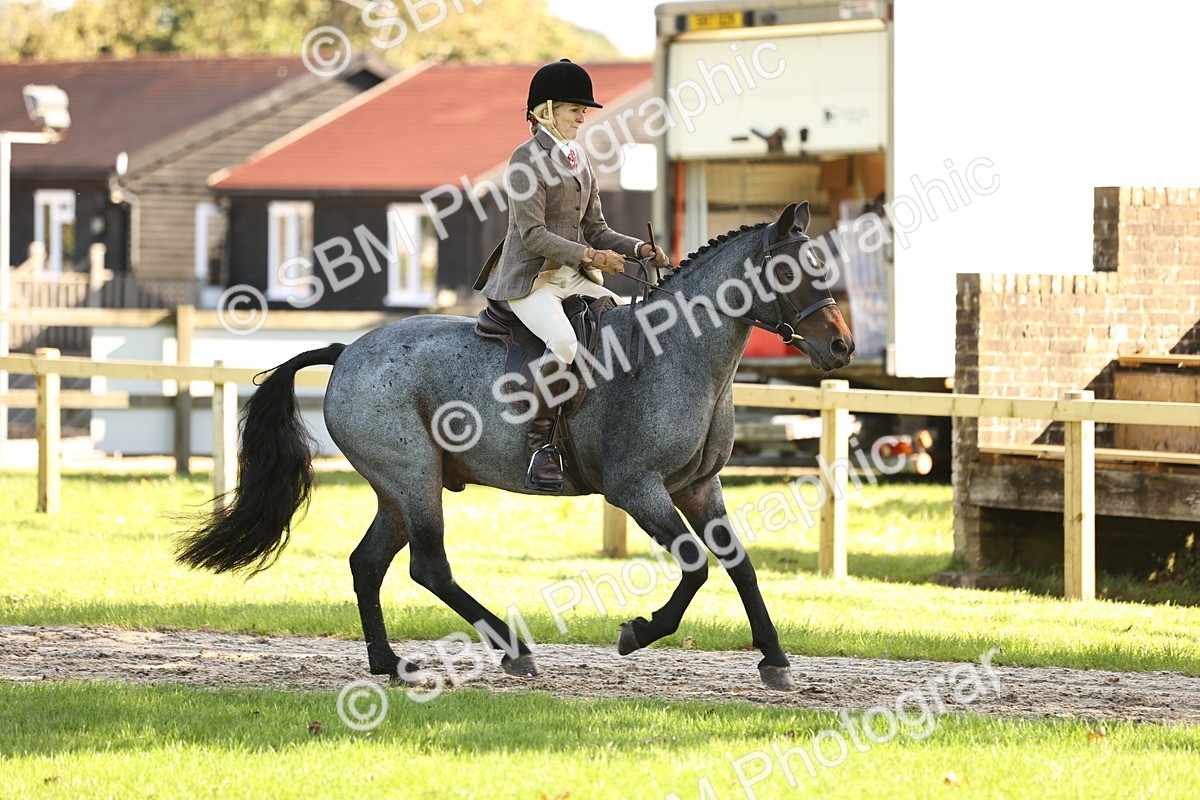 SBM_16976 - S2 - TSR Ridden Pony Showing