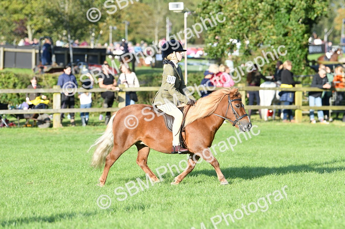 SBM_54073 - S23 - 1st Ridden Mountain & Moorland Pony