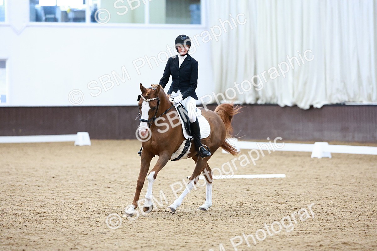 0B8A8114 - Class 5 - Novice 2