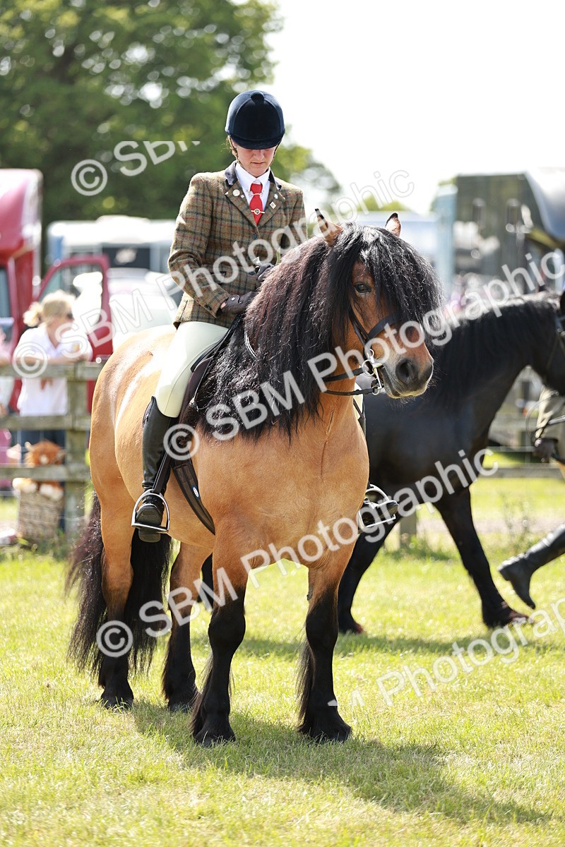 SBM_07187 - Class 26-30 - Mountain and Moorland Ridden