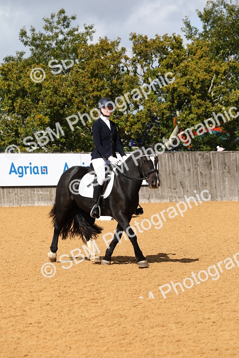 SBM_20822 - D5 - Small Tour Championshop Intro 2