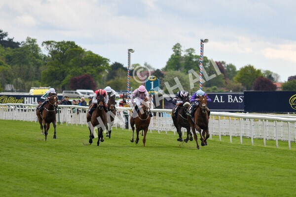 yr22052021r2-16 - Race 2 2.40pm William Hill Brontë Cup