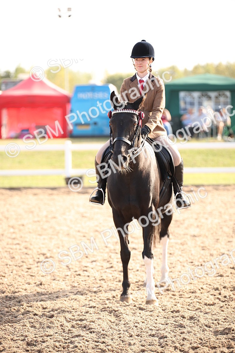 SBM_08838 - Class 12R Regional Ridden Pre-Vet
