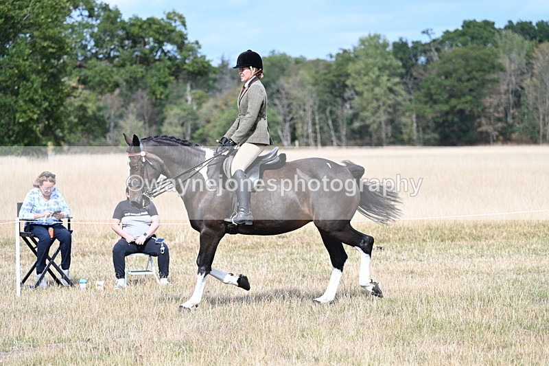 WJ7_5887 - Class 13 Ridden Veterans
