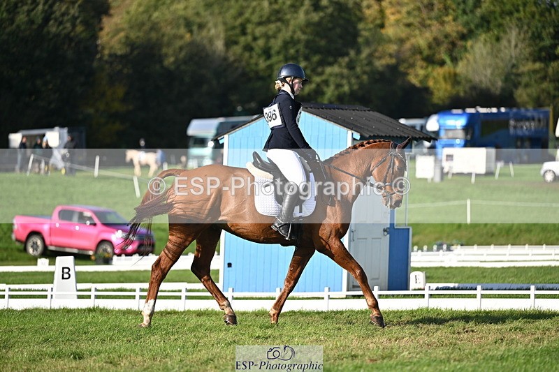 251024A-151528-13998 - E-396-Madeleine.Robertson