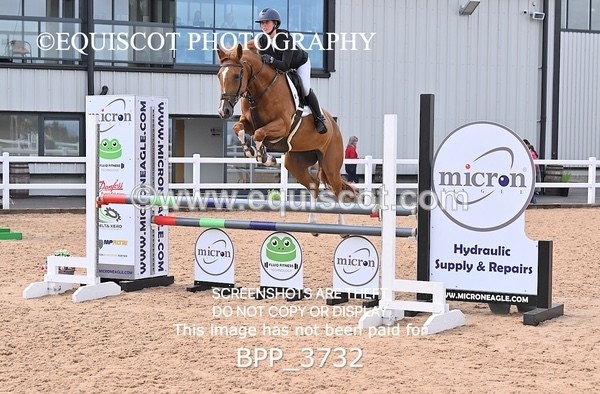BPP_3732 - CLASS 1 WED Nupafeeds Senior Dicovery/1m open