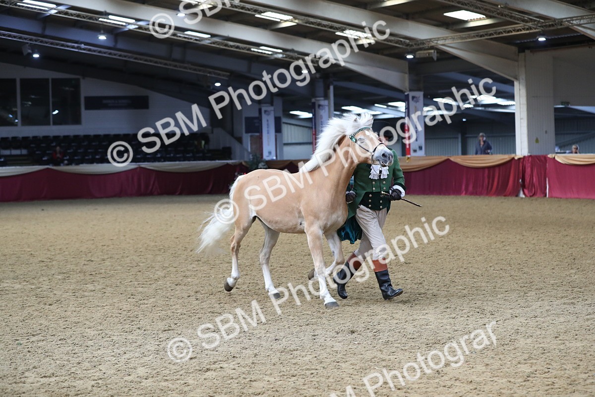 SBM_10813 - Class 103 IH Costume