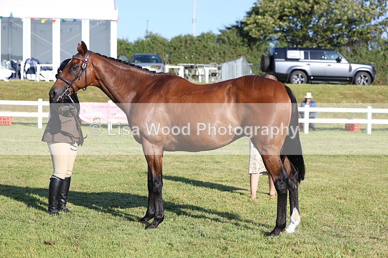 3E7A5157 - Class 1: Rising Star Small Hack/Riding Horses