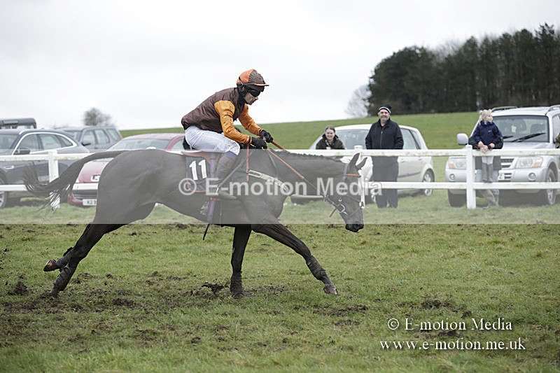 PtP 150320 0522 - New Forest Point-to-Point Larkhill 15/03/20
